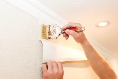 Pose de papier peint à Albitreccia — revêtements muraux et toiles de verre